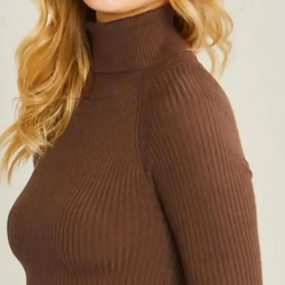 Mary Turtleneck Ribbed Top Soft Stretchy Material Color Brown Long Sleeve Fitted - Picture 2 of 2